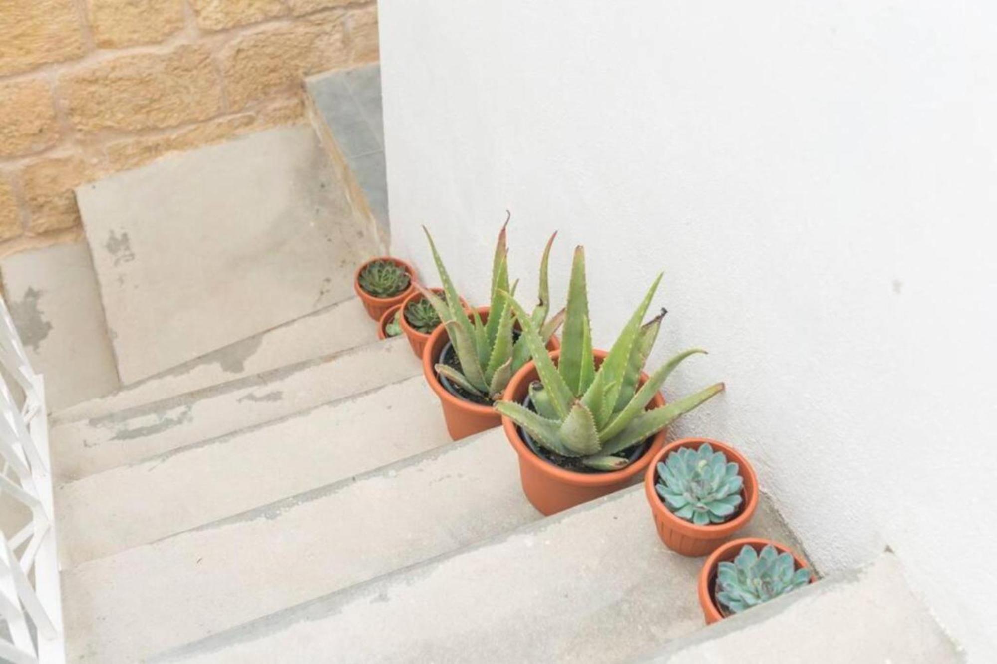 Authentic Gf Apartment With Terrace At The 3 Cities Marina Cospicua Zewnętrze zdjęcie
